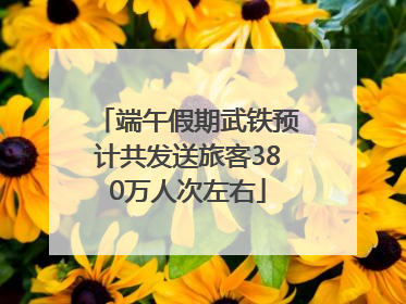 端午假期武铁预计共发送旅客380万人次左右