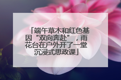 端午草木和红色基因“双向奔赴”，雨花台在户外开了一堂沉浸式思政课