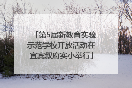 第5届新教育实验示范学校开放活动在宜宾叙府实小举行