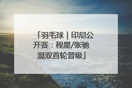 羽毛球｜印尼公开赛：程星/张驰混双首轮晋级