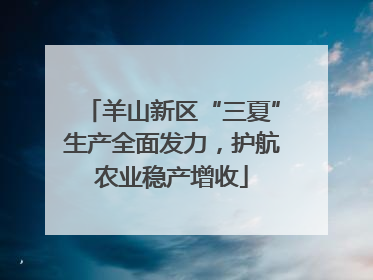 羊山新区“三夏”生产全面发力，护航农业稳产增收