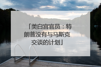 美白宫官员：特朗普没有与马斯克交谈的计划