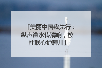 美丽中国我先行：纵声澧水传清响，校社联心护碧川