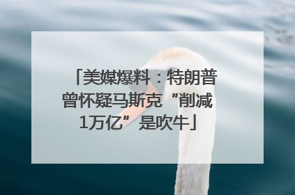 美媒爆料：特朗普曾怀疑马斯克“削减1万亿”是吹牛