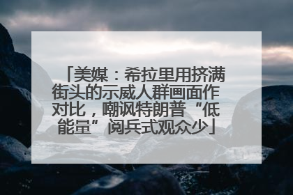 美媒：希拉里用挤满街头的示威人群画面作对比，嘲讽特朗普“低能量”阅兵式观众少