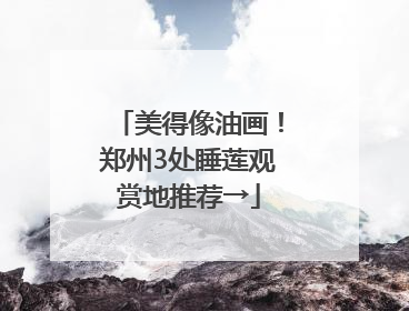 美得像油画！郑州3处睡莲观赏地推荐→