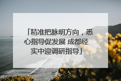 精准把脉明方向，悉心指导促发展 成都经实中迎调研指导