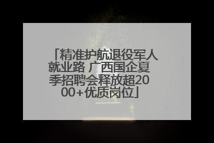 精准护航退役军人就业路 广西国企夏季招聘会释放超2000+优质岗位