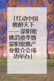 红动中国 桃醉天下——蒙阴蜜桃消费季暨蒙阴蜜桃产业推介会成功举办