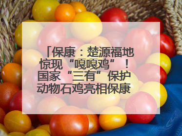 保康：楚源福地惊现“嘎嘎鸡”！国家“三有”保护动物石鸡亮相保康沿河公园