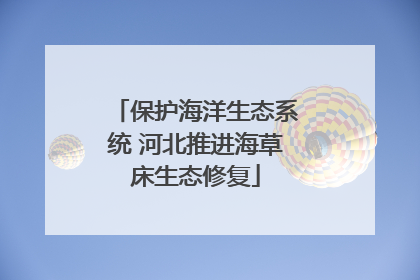 保护海洋生态系统 河北推进海草床生态修复