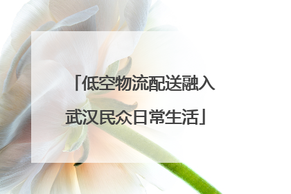 低空物流配送融入武汉民众日常生活