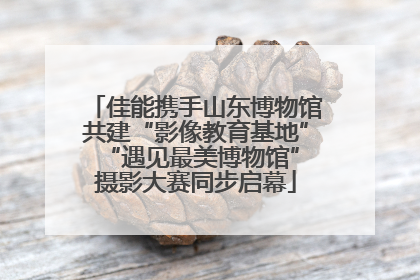 佳能携手山东博物馆共建“影像教育基地” “遇见最美博物馆”摄影大赛同步启幕
