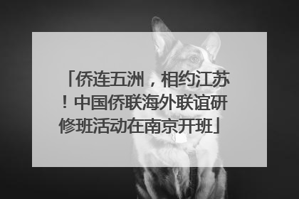 侨连五洲，相约江苏！中国侨联海外联谊研修班活动在南京开班