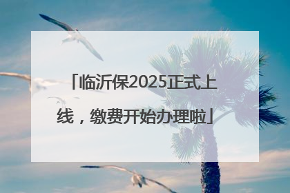 临沂保2025正式上线，缴费开始办理啦