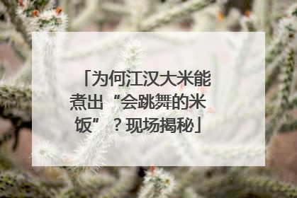为何江汉大米能煮出“会跳舞的米饭”？现场揭秘