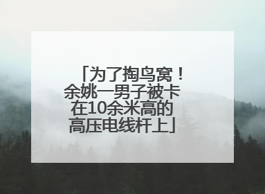 为了掏鸟窝！余姚一男子被卡在10余米高的高压电线杆上