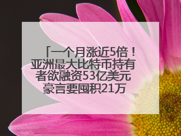 一个月涨近5倍！亚洲最大比特币持有者欲融资53亿美元 豪言要囤积21万枚比特币