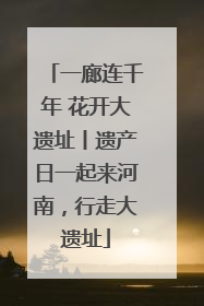 一廊连千年 花开大遗址丨遗产日一起来河南，行走大遗址