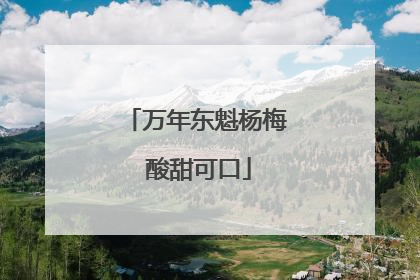 万年东魁杨梅 酸甜可口