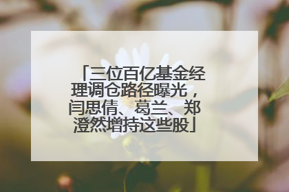 三位百亿基金经理调仓路径曝光，闫思倩、葛兰、郑澄然增持这些股