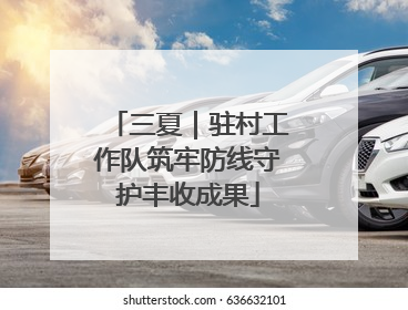 三夏｜驻村工作队筑牢防线守护丰收成果