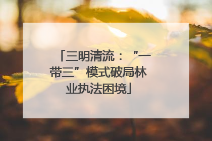 三明清流：“一带三”模式破局林业执法困境