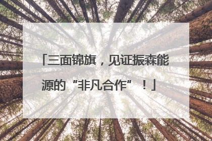 三面锦旗，见证振森能源的“非凡合作”！