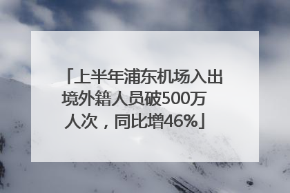 上半年浦东机场入出境外籍人员破500万人次，同比增46%