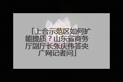 上合示范区如何扩能提质？山东省商务厅副厅长张庆伟答央广网记者问