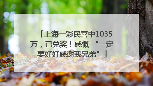 上海一彩民喜中1035万，已兑奖！感慨 “一定要好好感谢我兄弟”
