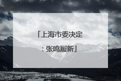 上海市委决定：张鸣履新