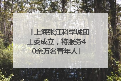 上海张江科学城团工委成立，将服务40余万名青年人
