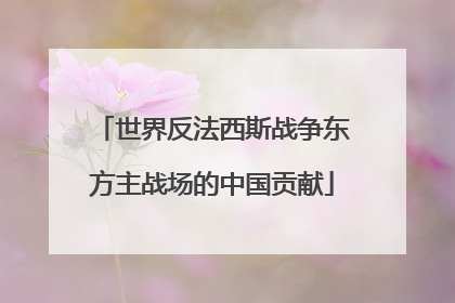 世界反法西斯战争东方主战场的中国贡献