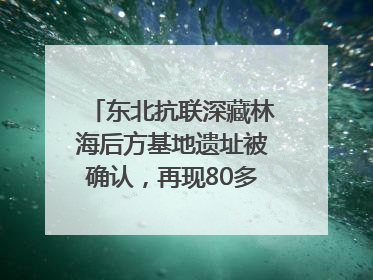 东北抗联深藏林海后方基地遗址被确认，再现80多年前密营抗战