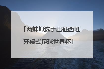 两蚌埠选手出征西班牙桌式足球世界杯