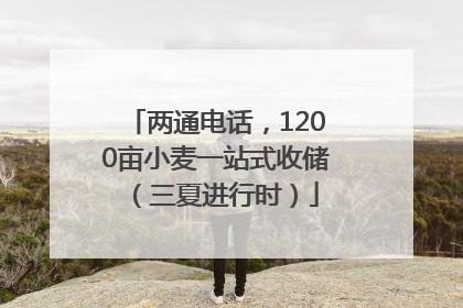 两通电话，1200亩小麦一站式收储（三夏进行时）