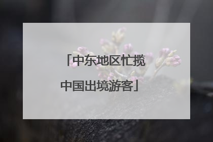 中东地区忙揽中国出境游客