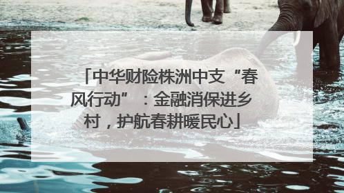 中华财险株洲中支“春风行动”：金融消保进乡村，护航春耕暖民心