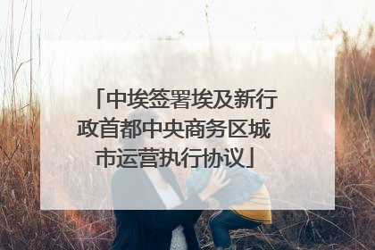 中埃签署埃及新行政首都中央商务区城市运营执行协议