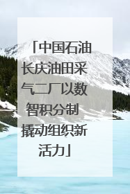 中国石油长庆油田采气二厂以数智积分制 撬动组织新活力