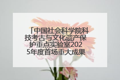 中国社会科学院科技考古与文化遗产保护重点实验室2025年度首场重大成果发布会在京举行