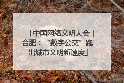 中国网络文明大会｜合肥：“数字公交”跑出城市文明新速度