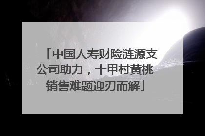 中国人寿财险涟源支公司助力，十甲村黄桃销售难题迎刃而解
