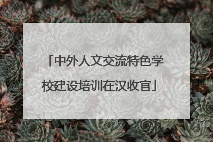 中外人文交流特色学校建设培训在汉收官