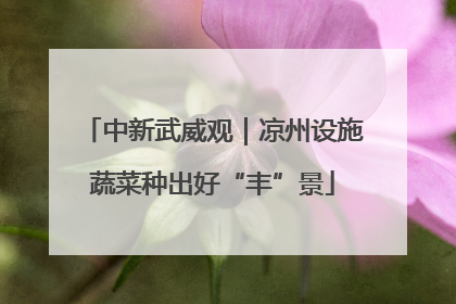中新武威观｜凉州设施蔬菜种出好“丰”景