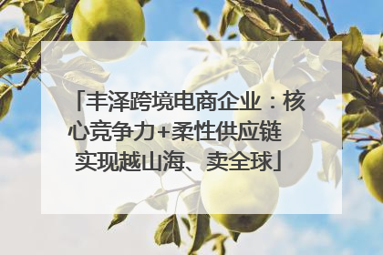丰泽跨境电商企业：核心竞争力+柔性供应链 实现越山海、卖全球