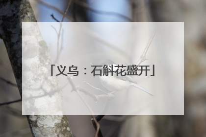 义乌：石斛花盛开