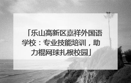 乐山高新区嘉祥外国语学校：专业技能培训，助力棍网球扎根校园