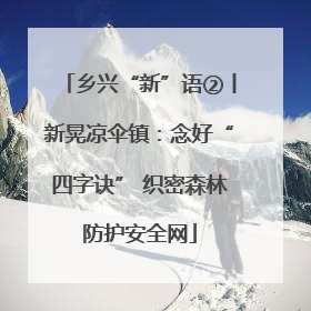 乡兴“新”语②丨新晃凉伞镇：念好“四字诀” 织密森林防护安全网